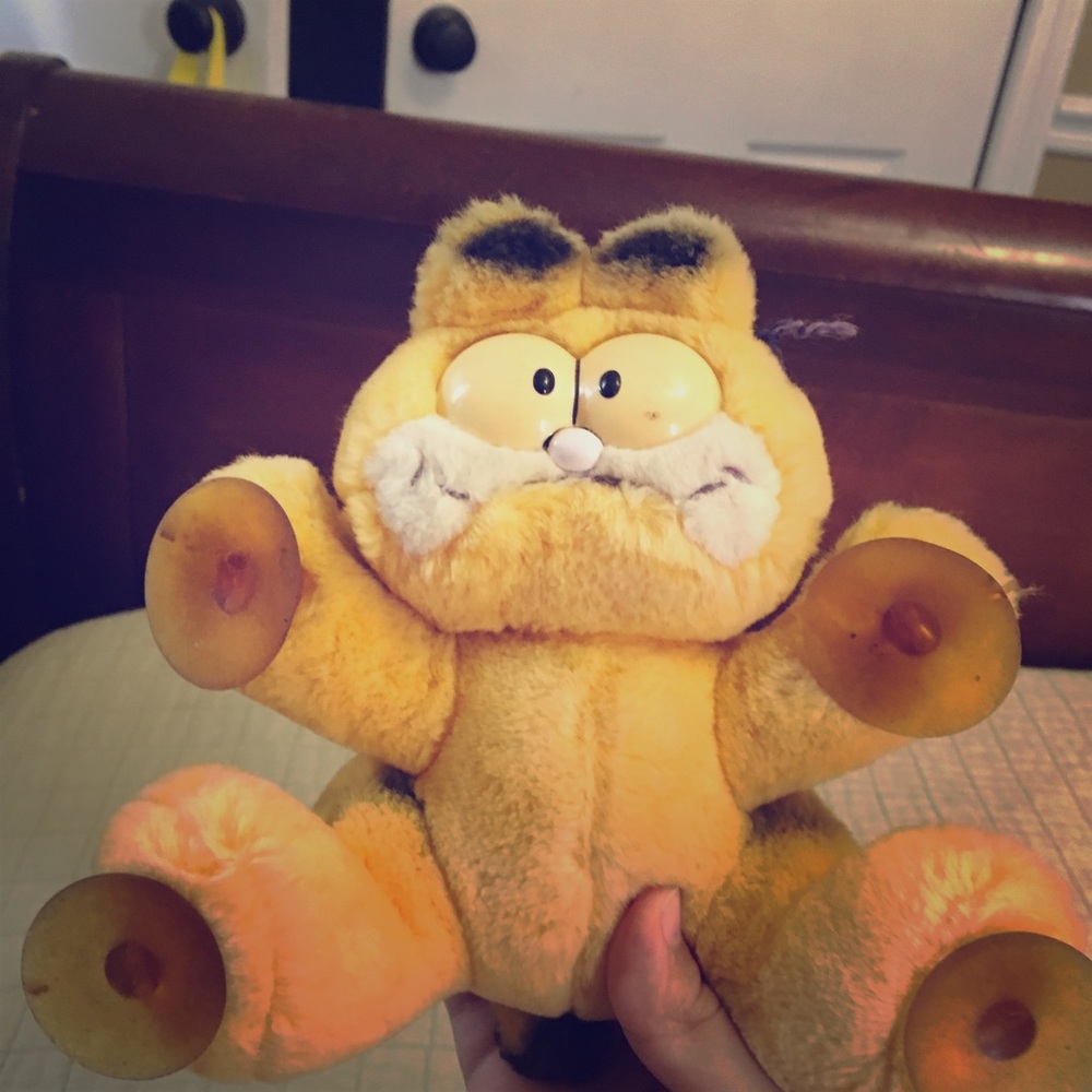 1980s Garfield attack cat